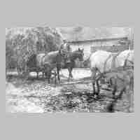 106-0038 Franz Adomeit mit einem Fuder Getreide im Hof.jpg